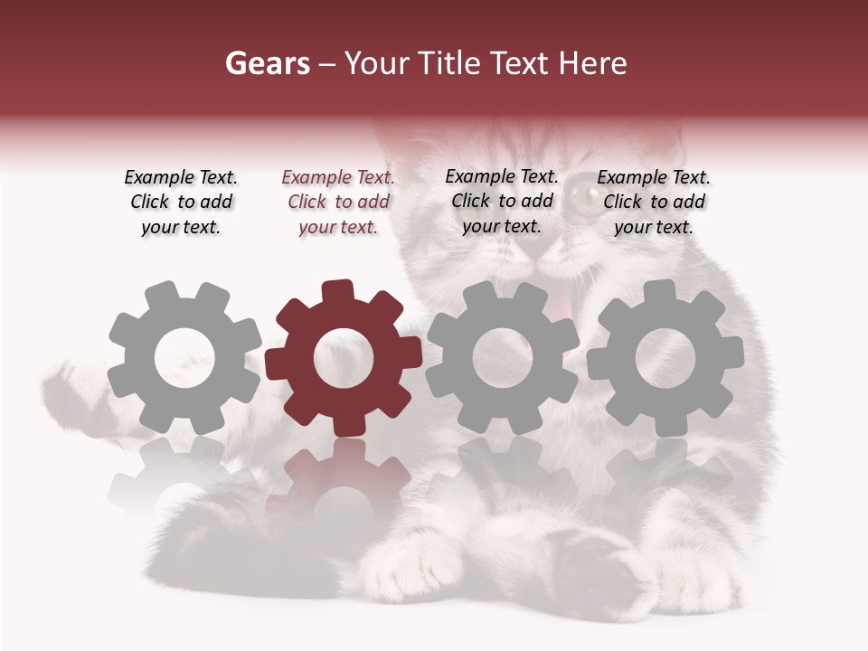 Big Background Tabby PowerPoint Template