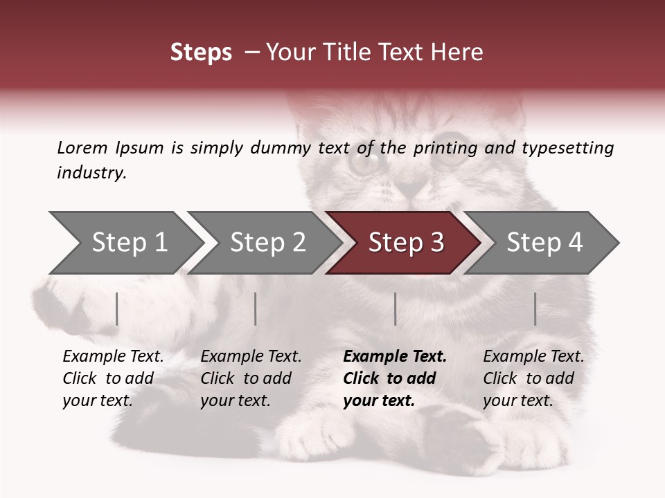 Big Background Tabby PowerPoint Template