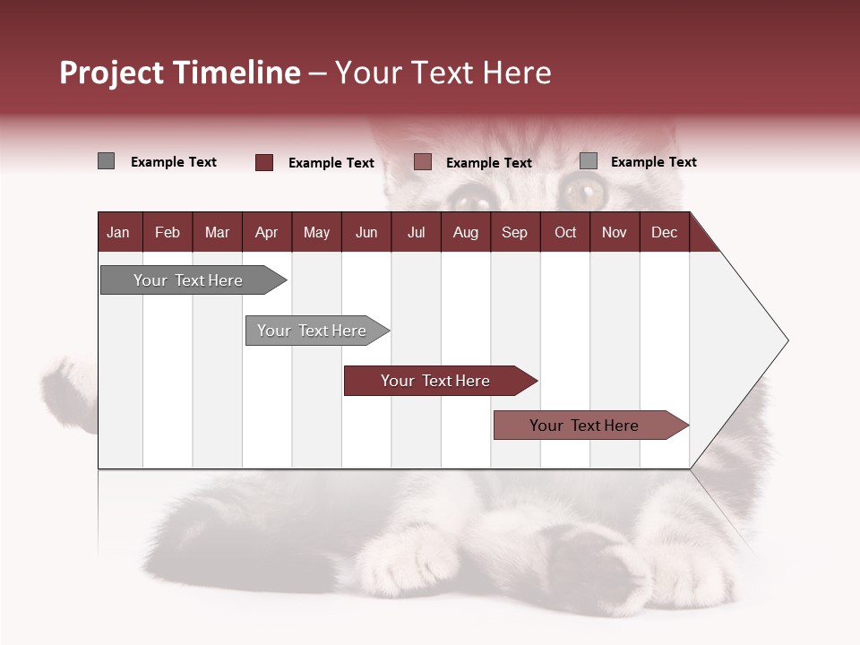 Big Background Tabby PowerPoint Template