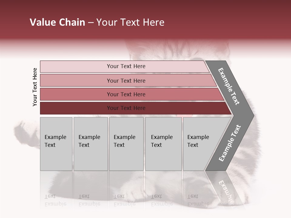 Big Background Tabby PowerPoint Template
