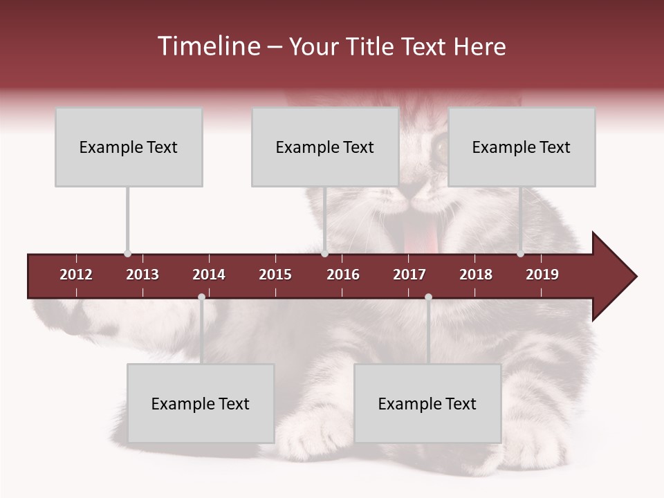 Big Background Tabby PowerPoint Template