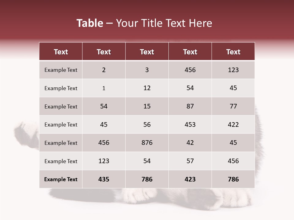 Big Background Tabby PowerPoint Template