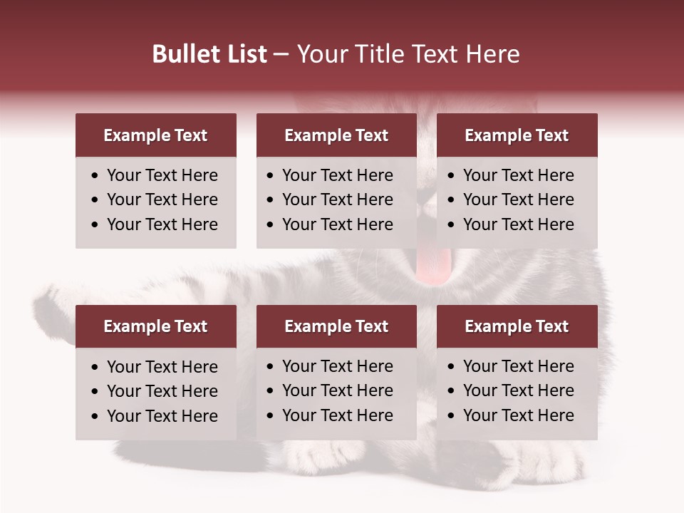 Big Background Tabby PowerPoint Template