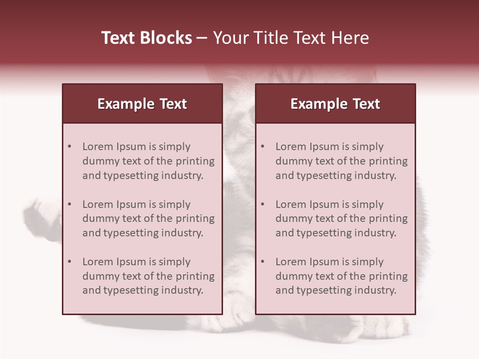 Big Background Tabby PowerPoint Template