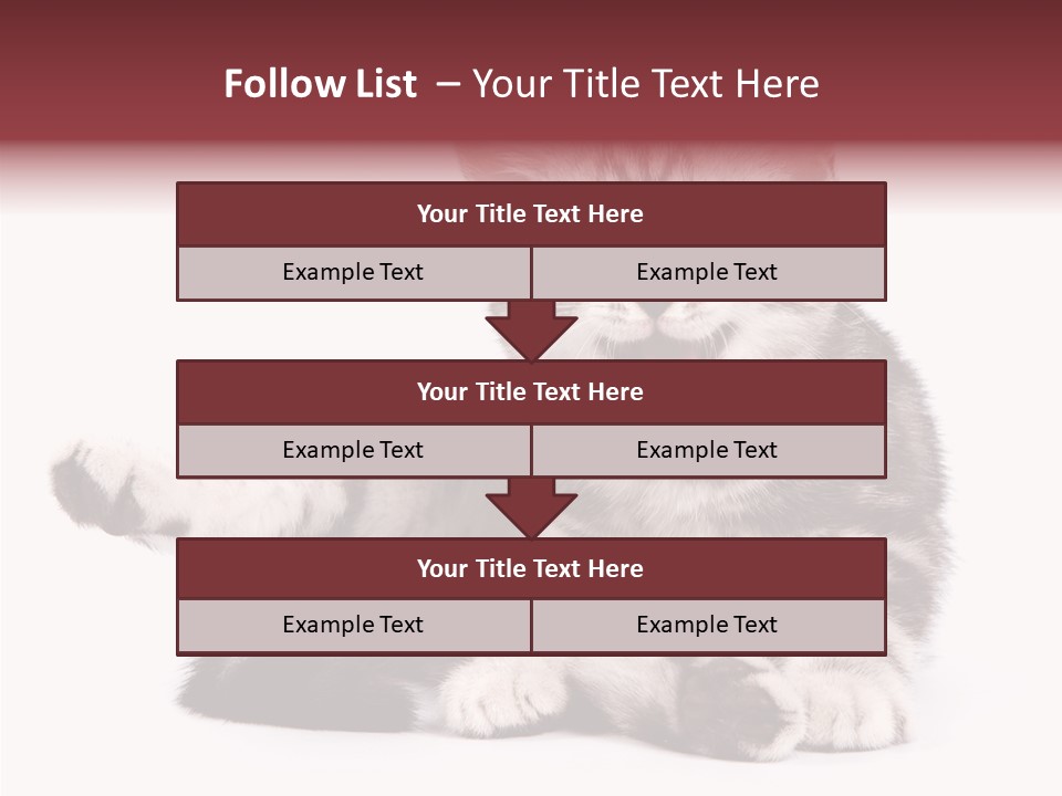 Big Background Tabby PowerPoint Template