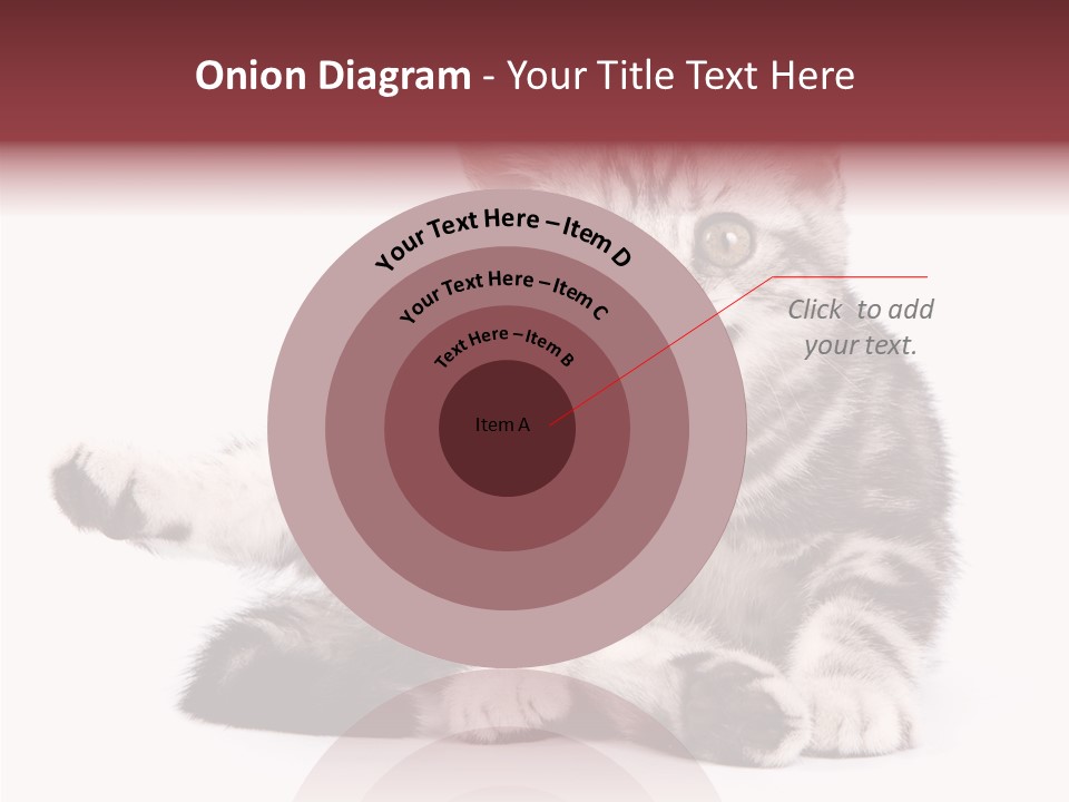 Big Background Tabby PowerPoint Template