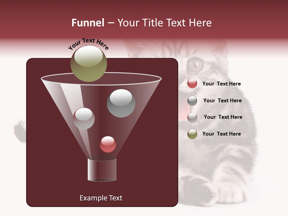 Big Background Tabby PowerPoint Template