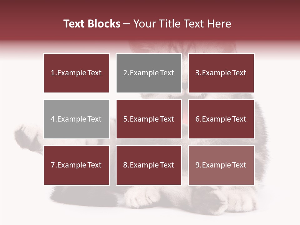 Big Background Tabby PowerPoint Template