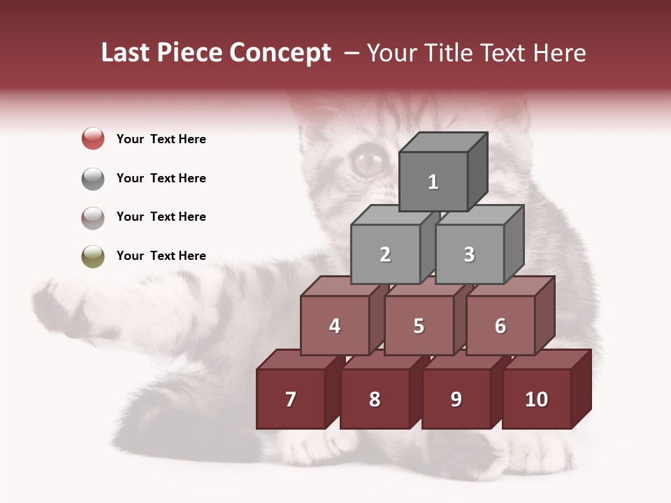 Big Background Tabby PowerPoint Template