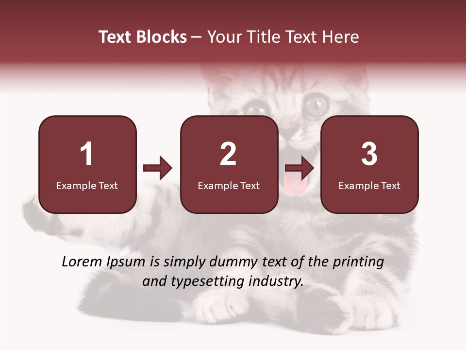 Big Background Tabby PowerPoint Template