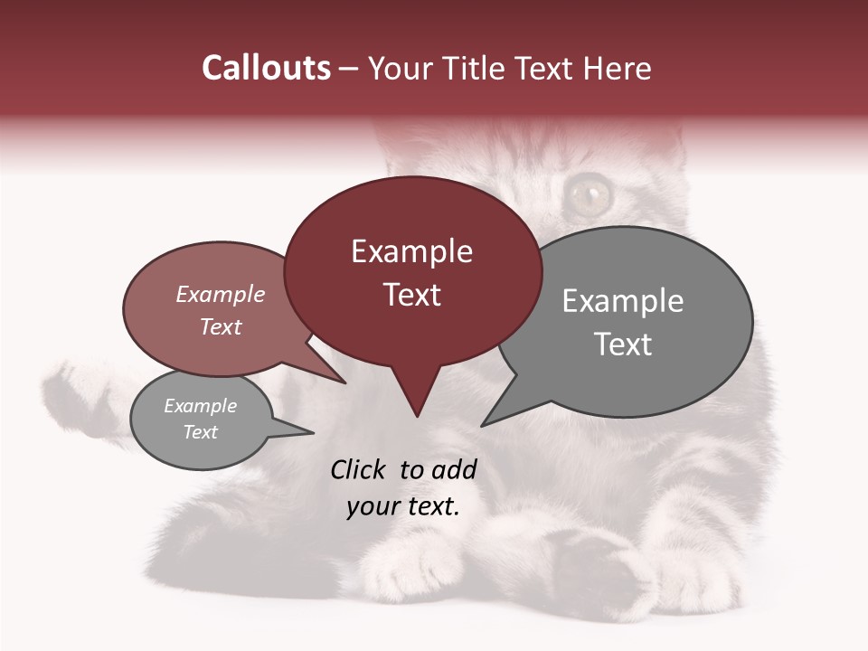 Big Background Tabby PowerPoint Template