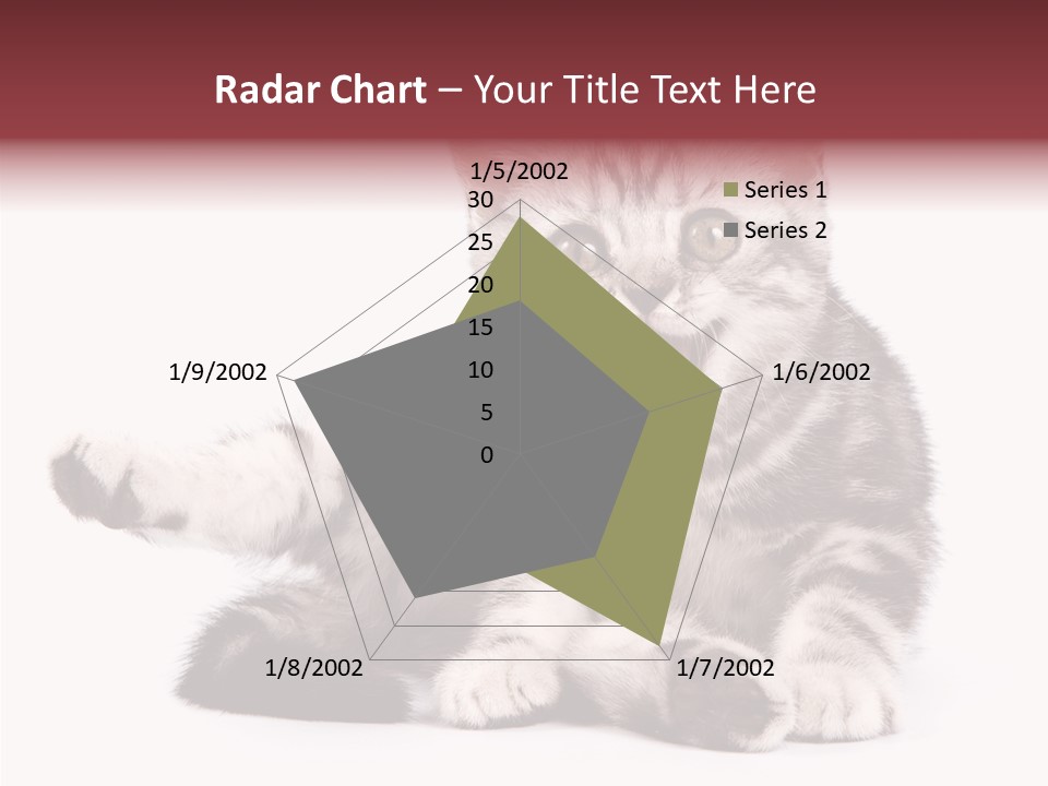 Big Background Tabby PowerPoint Template