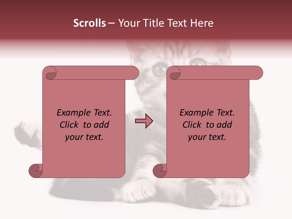 Big Background Tabby PowerPoint Template