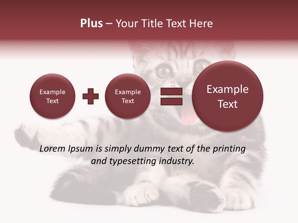 Big Background Tabby PowerPoint Template