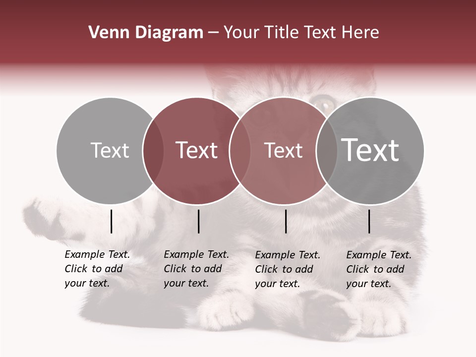 Big Background Tabby PowerPoint Template