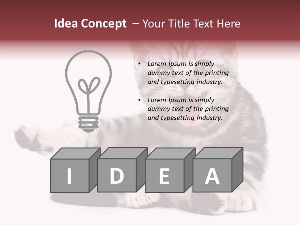 Big Background Tabby PowerPoint Template