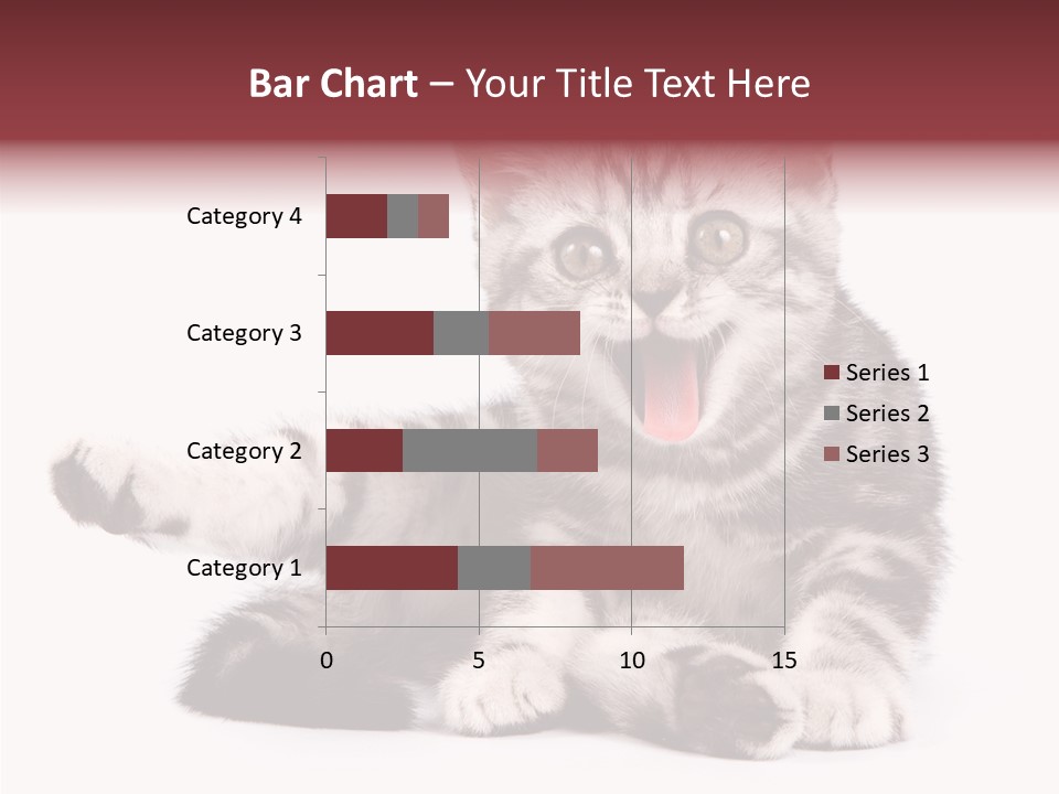 Big Background Tabby PowerPoint Template