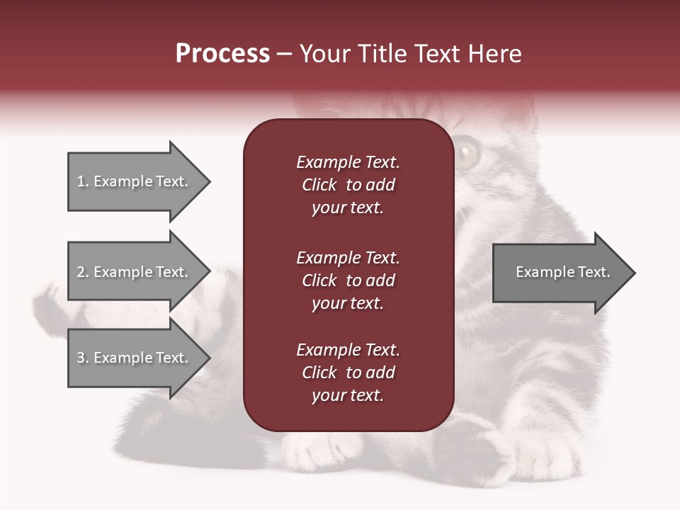 Big Background Tabby PowerPoint Template