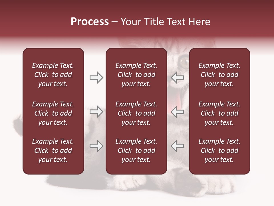Big Background Tabby PowerPoint Template