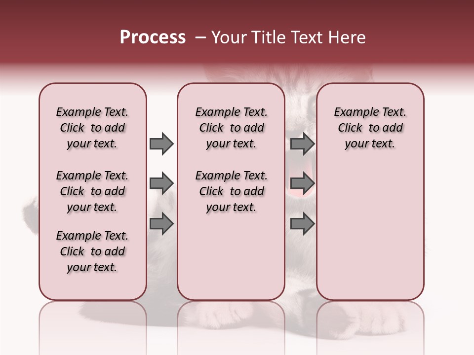 Big Background Tabby PowerPoint Template