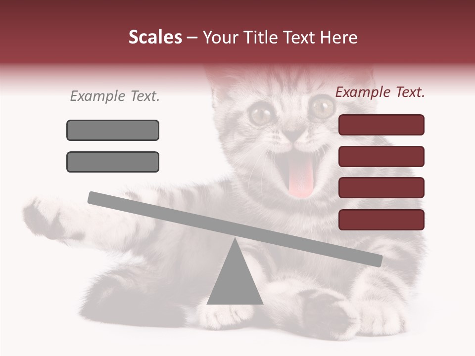 Big Background Tabby PowerPoint Template
