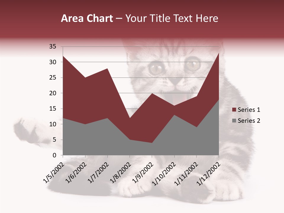 Big Background Tabby PowerPoint Template