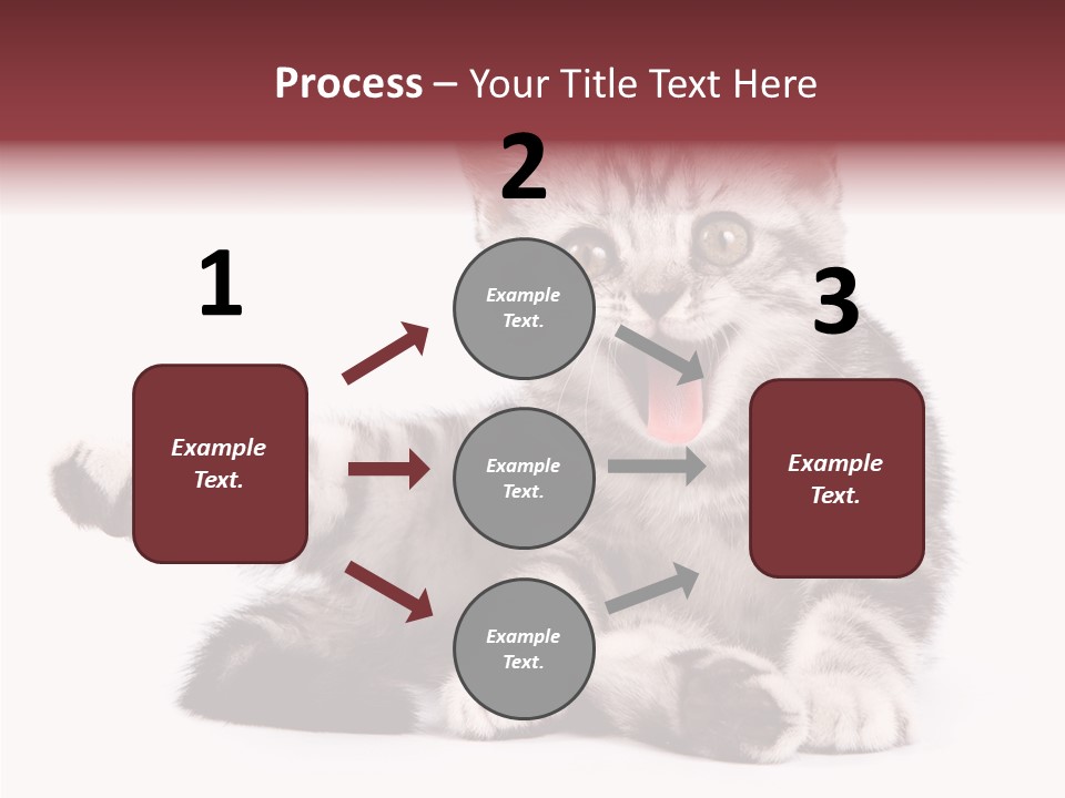 Big Background Tabby PowerPoint Template