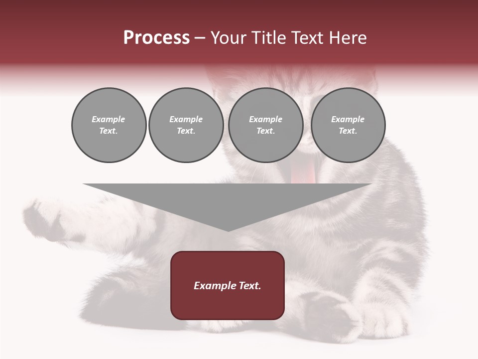 Big Background Tabby PowerPoint Template
