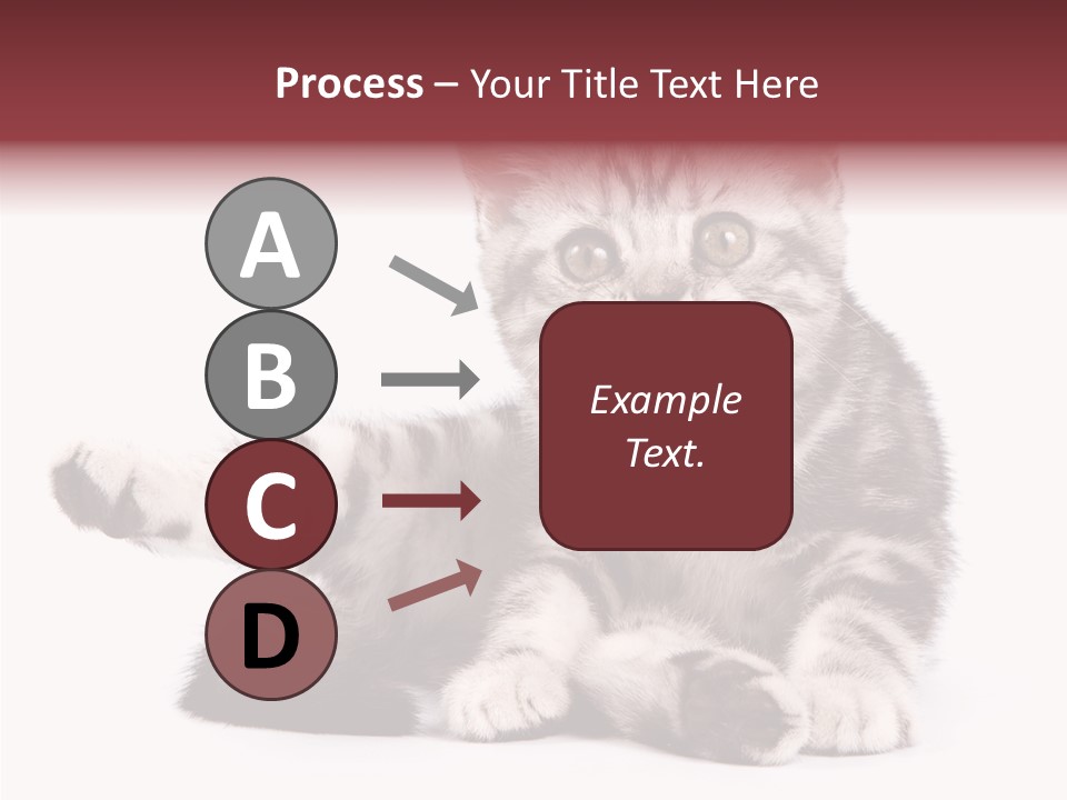 Big Background Tabby PowerPoint Template