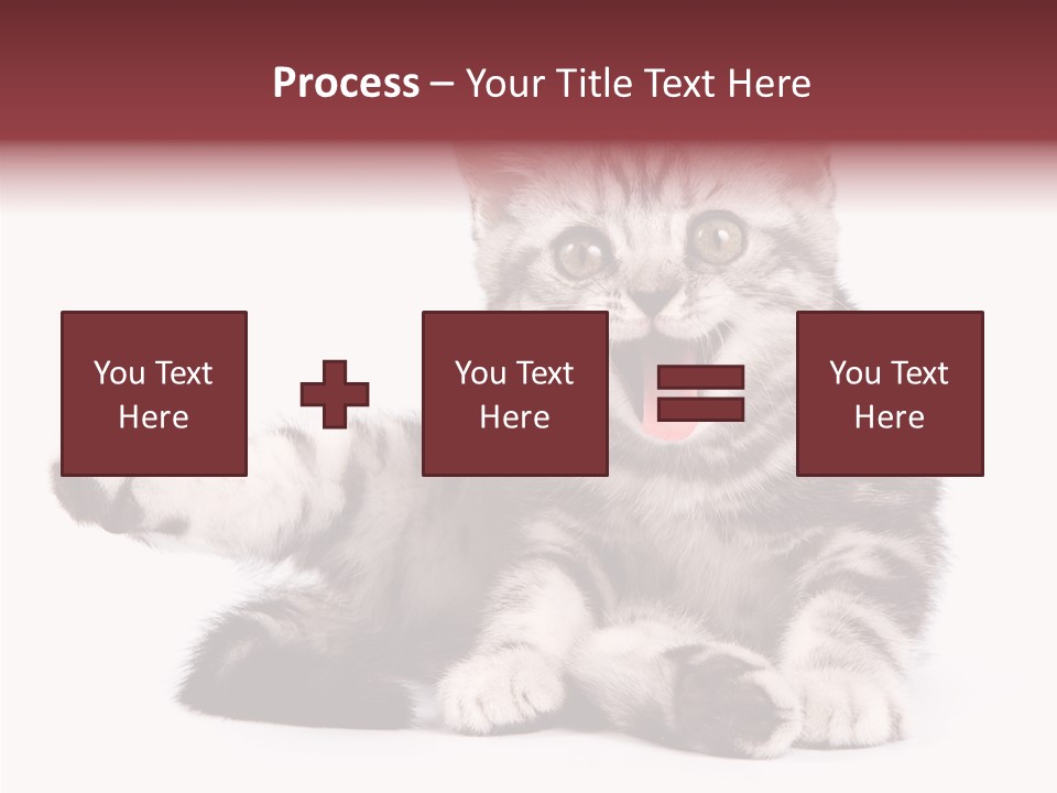 Big Background Tabby PowerPoint Template