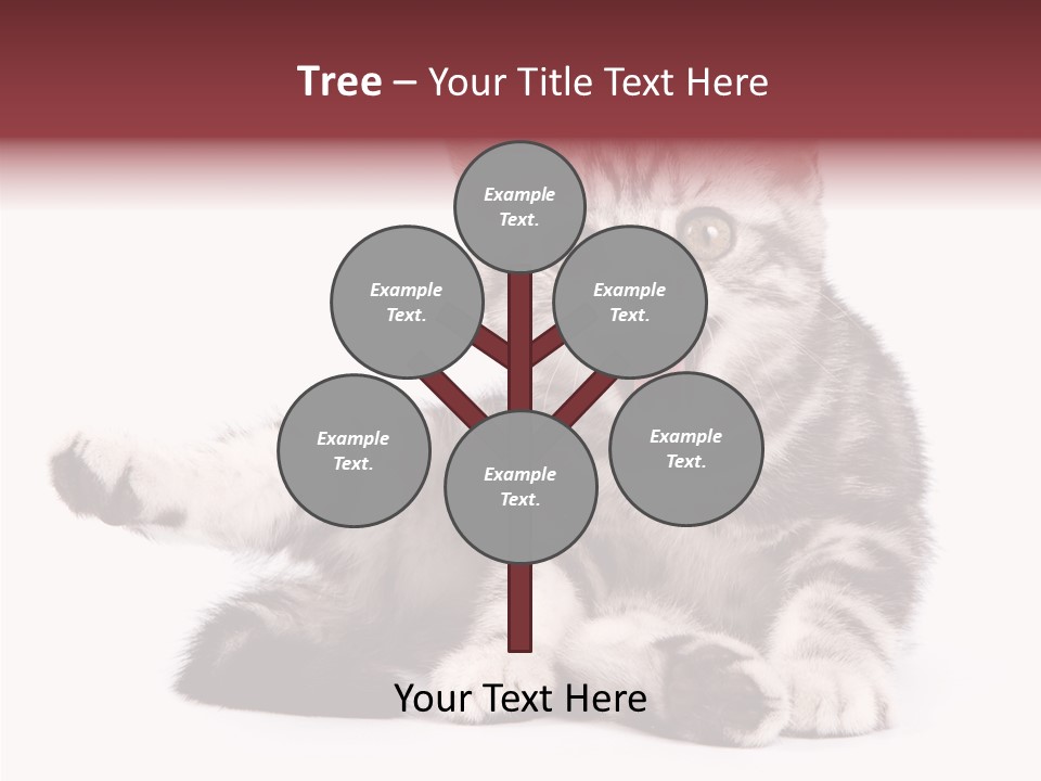 Big Background Tabby PowerPoint Template