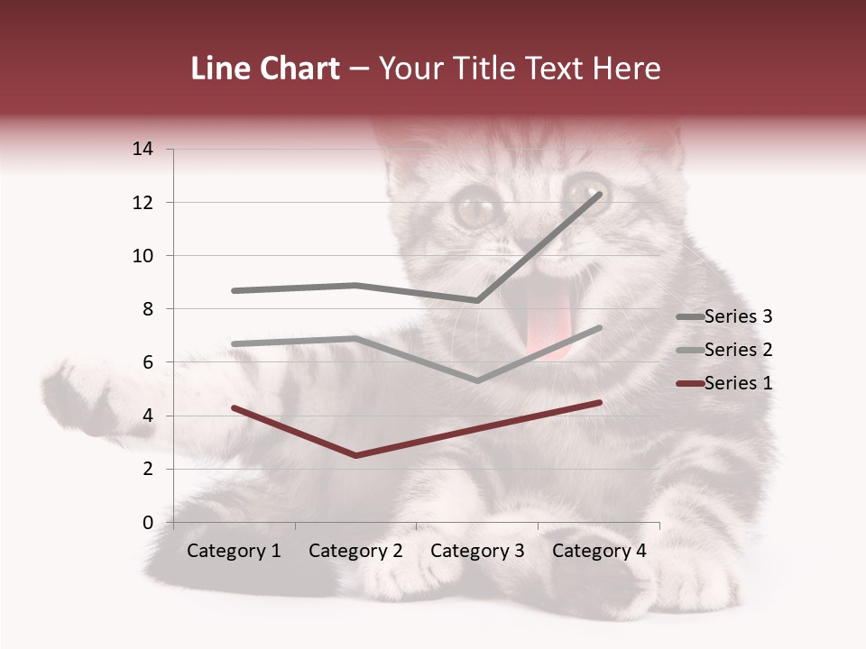 Big Background Tabby PowerPoint Template