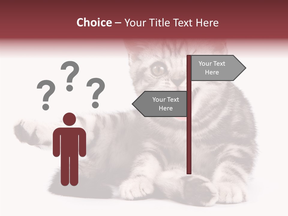 Big Background Tabby PowerPoint Template