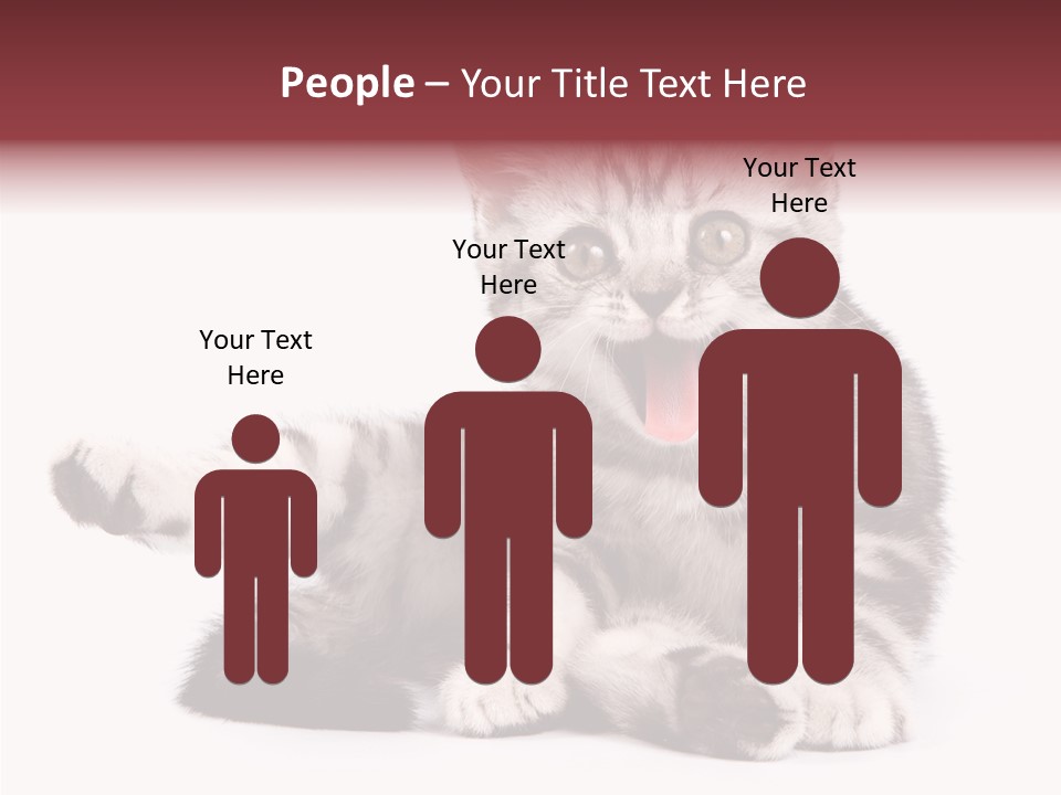 Big Background Tabby PowerPoint Template