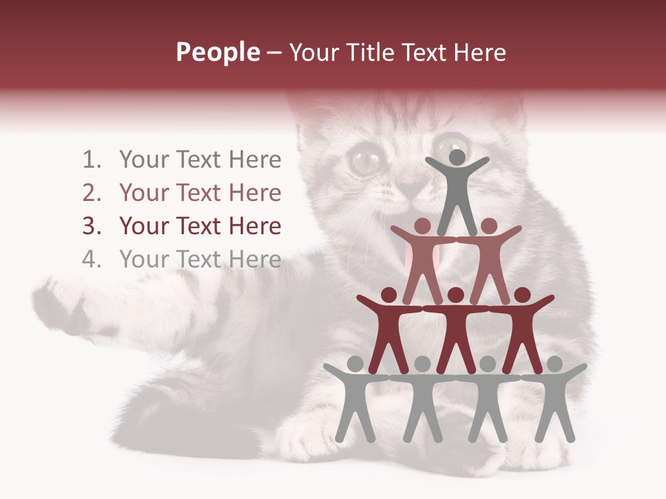Big Background Tabby PowerPoint Template