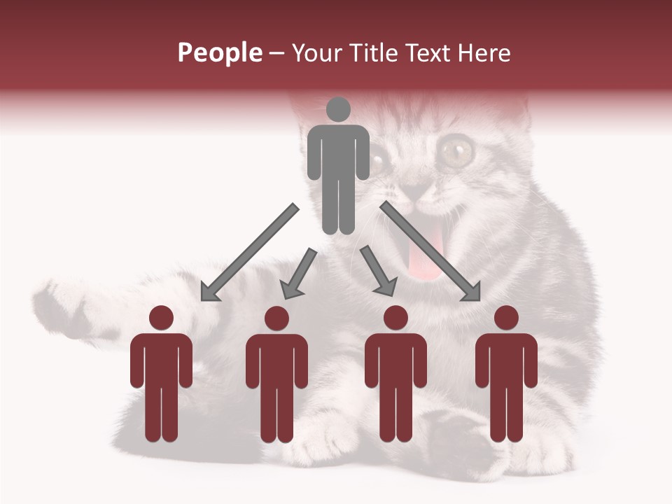 Big Background Tabby PowerPoint Template