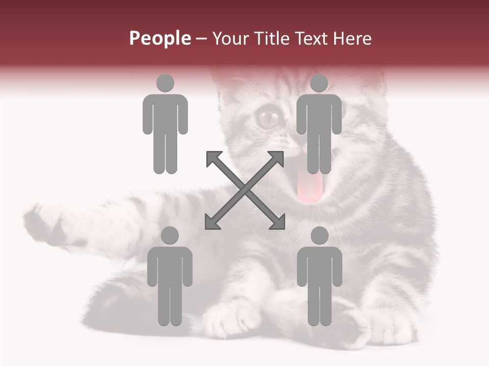 Big Background Tabby PowerPoint Template