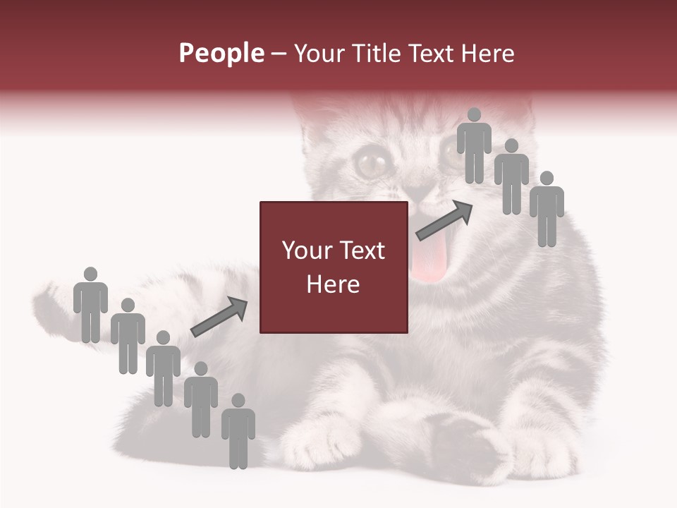 Big Background Tabby PowerPoint Template