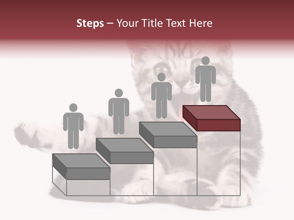 Big Background Tabby PowerPoint Template