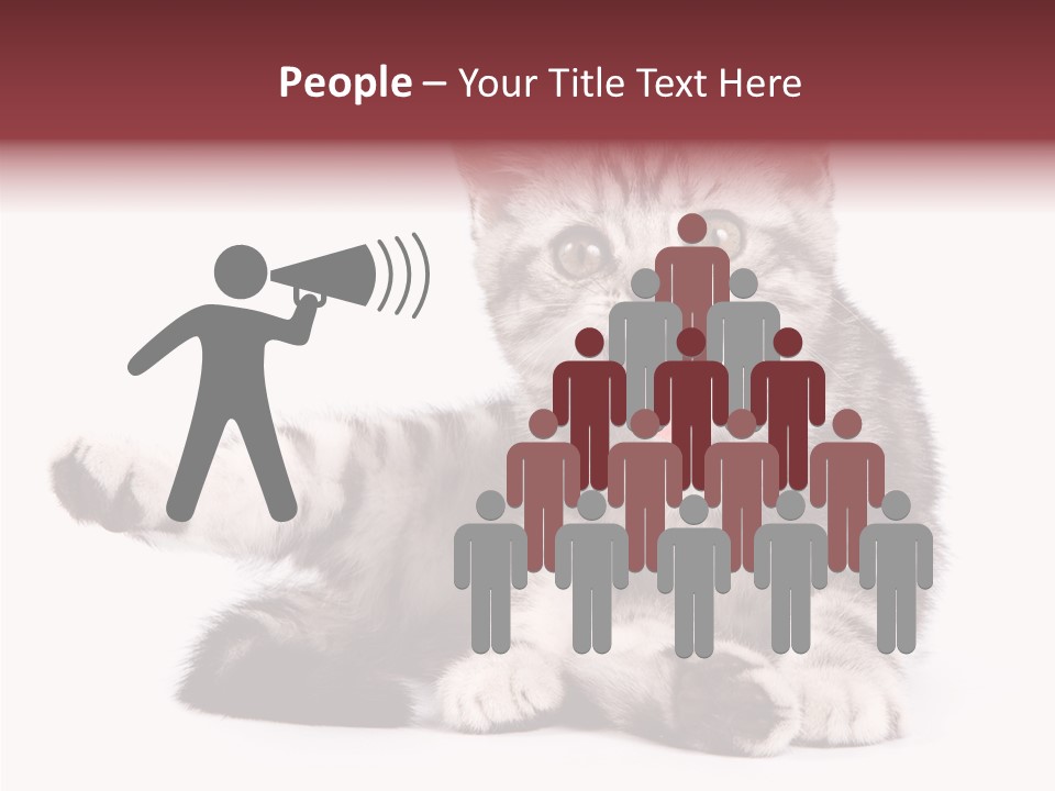 Big Background Tabby PowerPoint Template