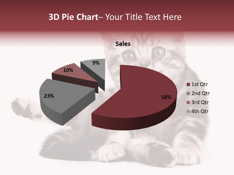 Big Background Tabby PowerPoint Template