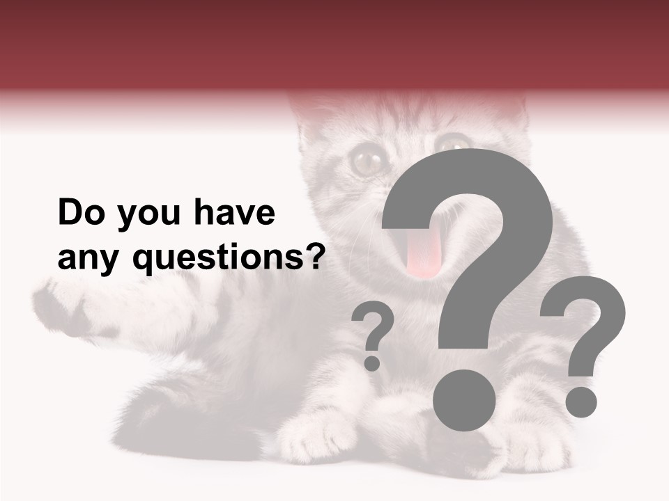 Big Background Tabby PowerPoint Template
