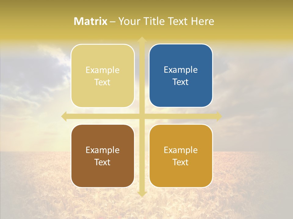 Summer Fiel Field PowerPoint Template