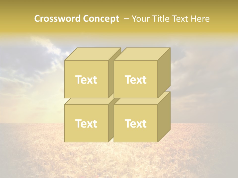 Summer Fiel Field PowerPoint Template
