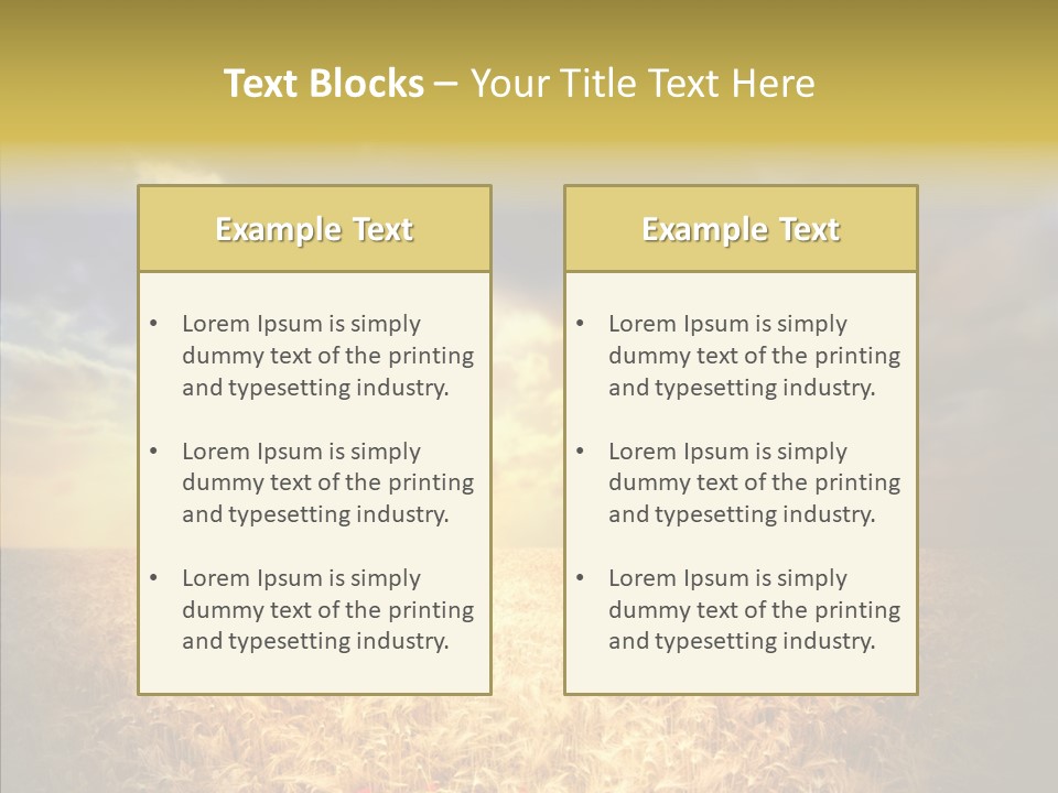 Summer Fiel Field PowerPoint Template
