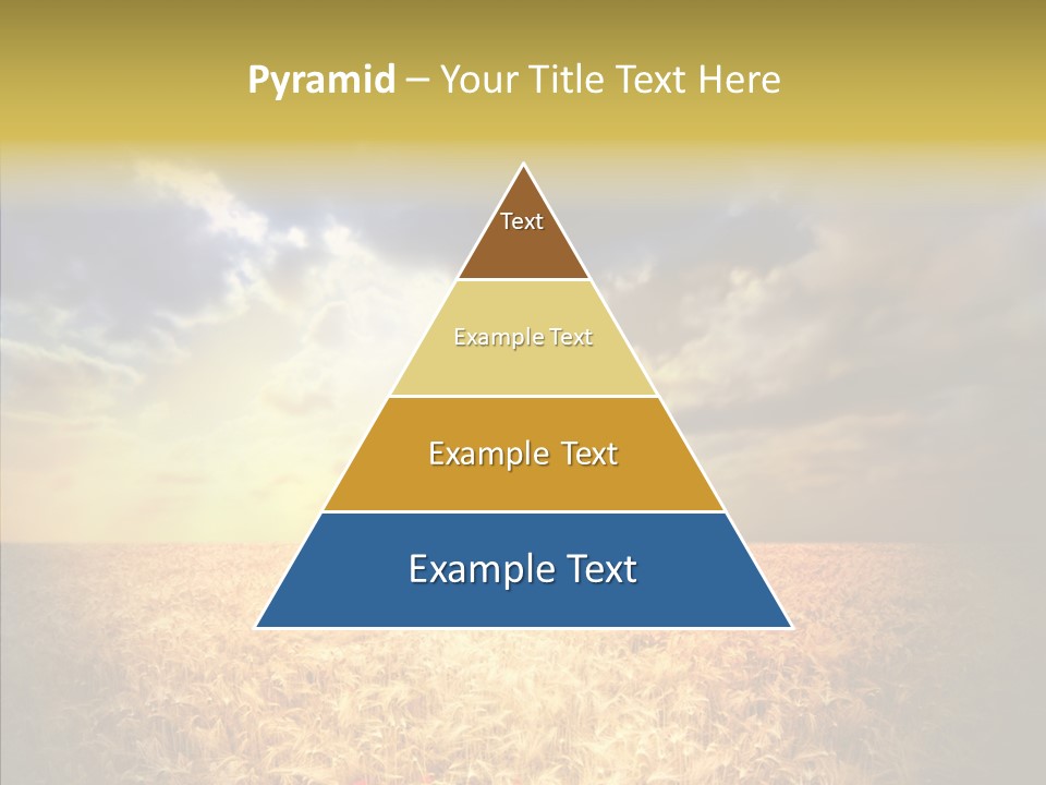 Summer Fiel Field PowerPoint Template