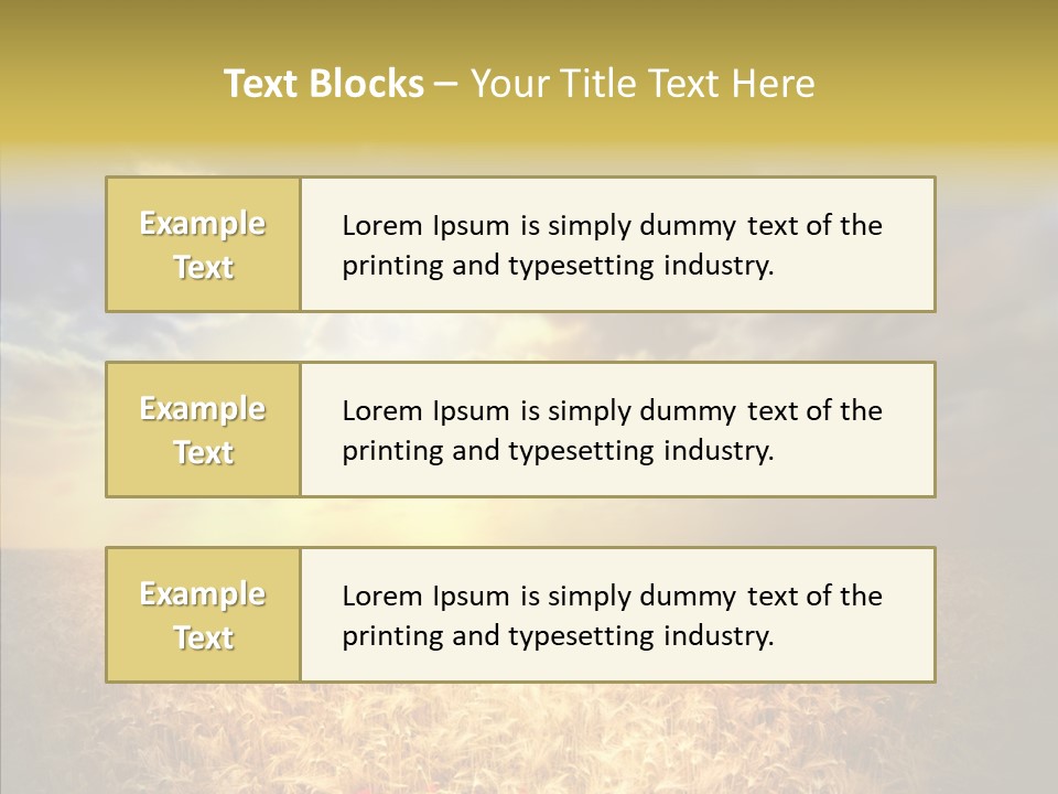 Summer Fiel Field PowerPoint Template