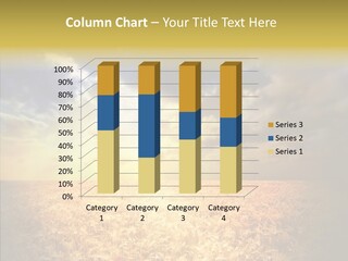 Summer Fiel Field PowerPoint Template