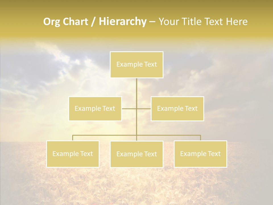 Summer Fiel Field PowerPoint Template