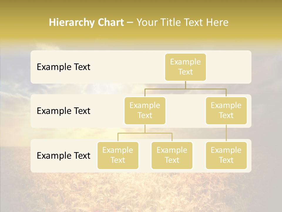 Summer Fiel Field PowerPoint Template